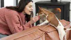 Waarom je je hond even moet aaien voordat je de deur uitgaat: een tip voor alle baasjes